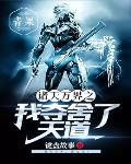 英雄的我流落街头，被魔王包养了