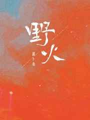 重生1977大时代