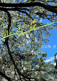 还是修仙吧